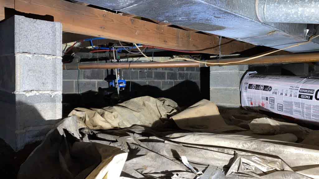 CRAWL SPACE INSULATION REMOVAL AND DISPOSAL