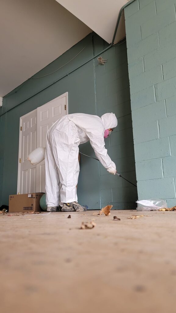 Sanitize at Disinfecting