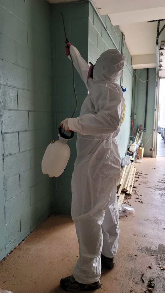 Sanitize at Disinfecting